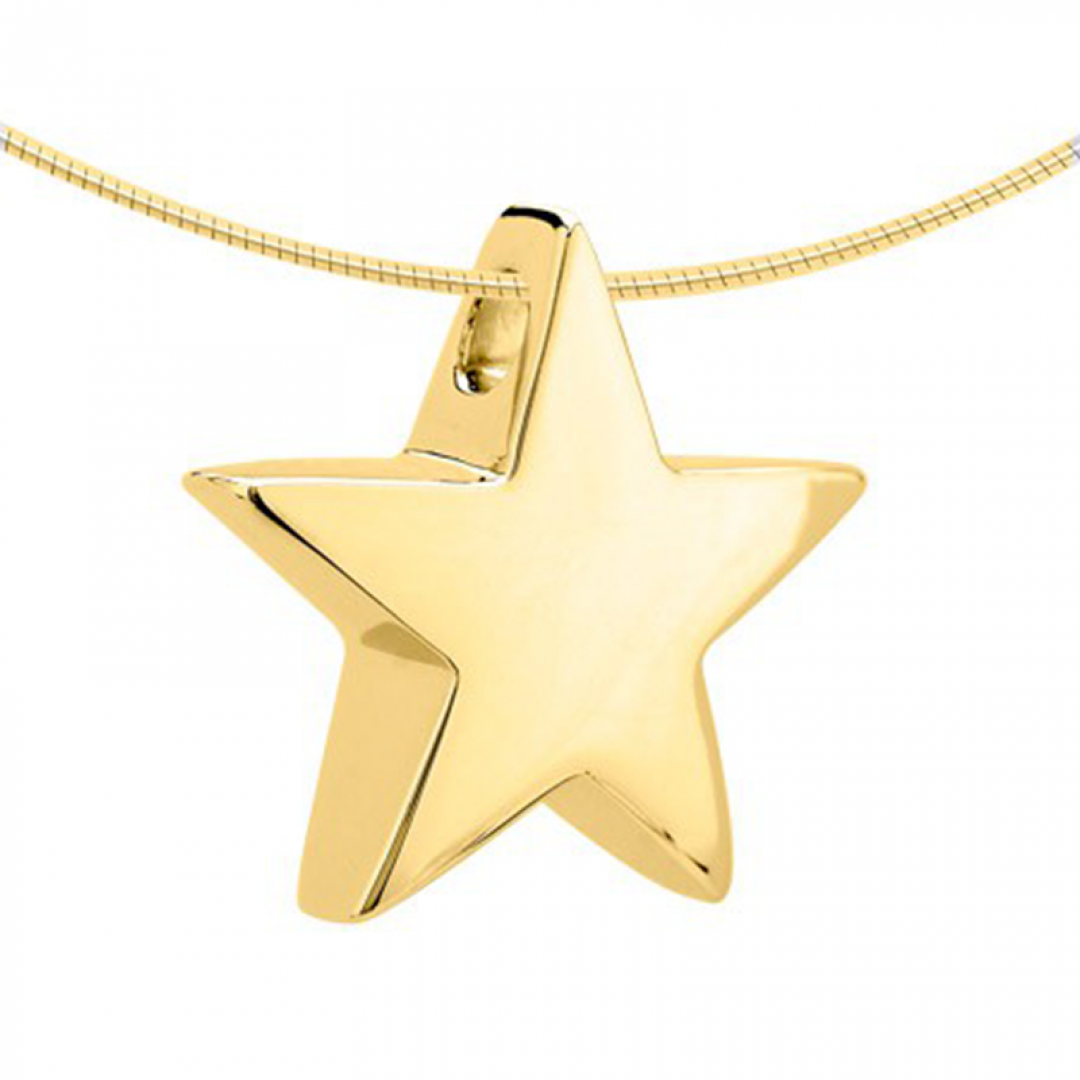 Gouden ster ashanger 1510G