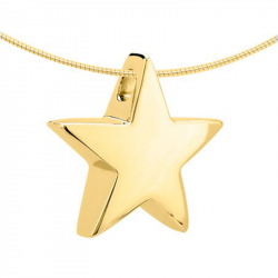 Gouden ster ashanger 1510G}