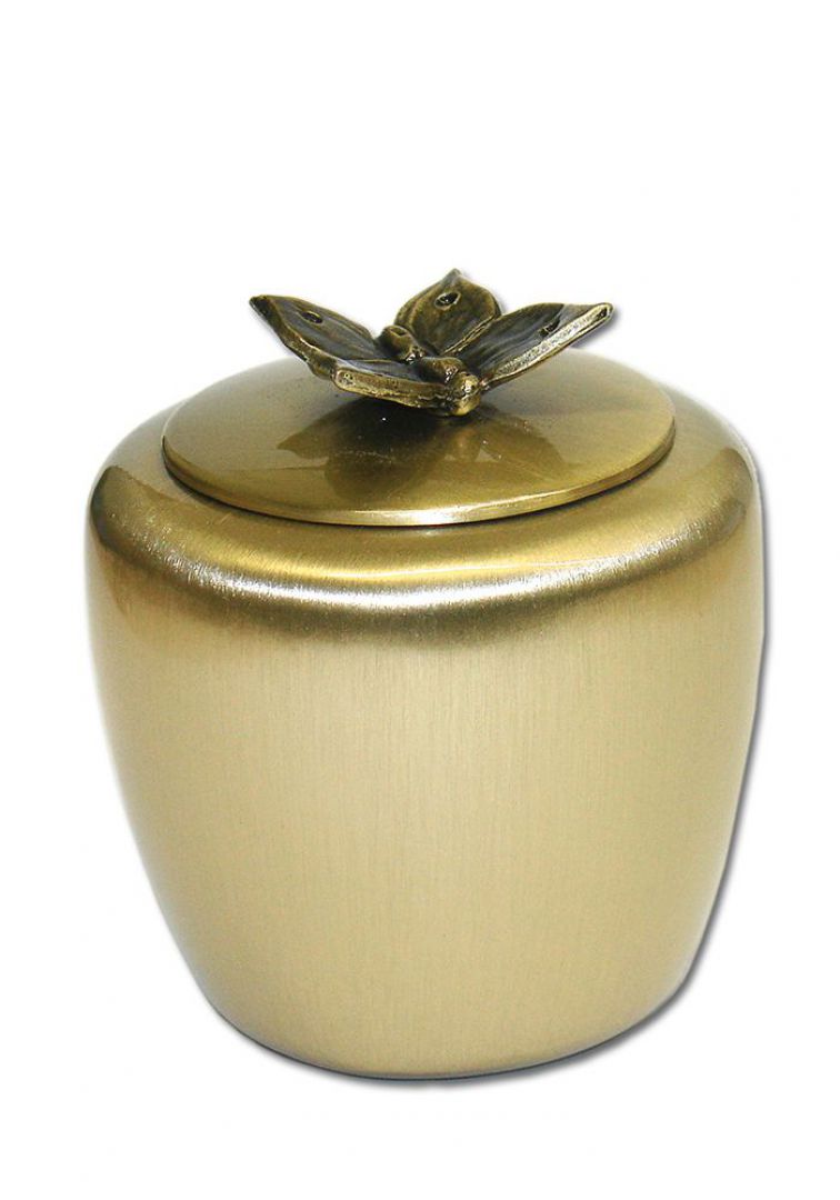 Mini urn vlinder P401Vlinder